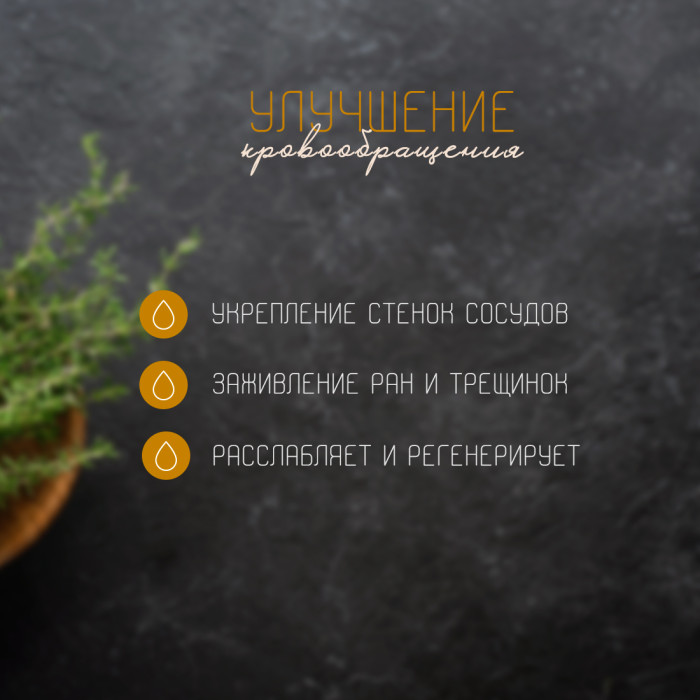 Травяной бальзам Herbamedicus Herbasan, 250 мл